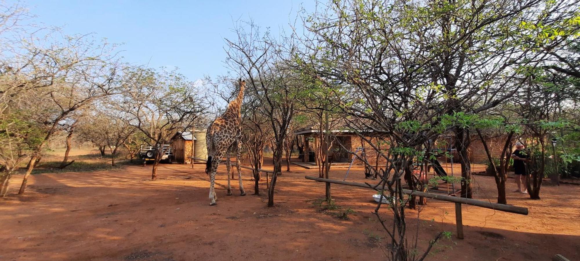462 Bosbok Chalets Marloth Park Εξωτερικό φωτογραφία