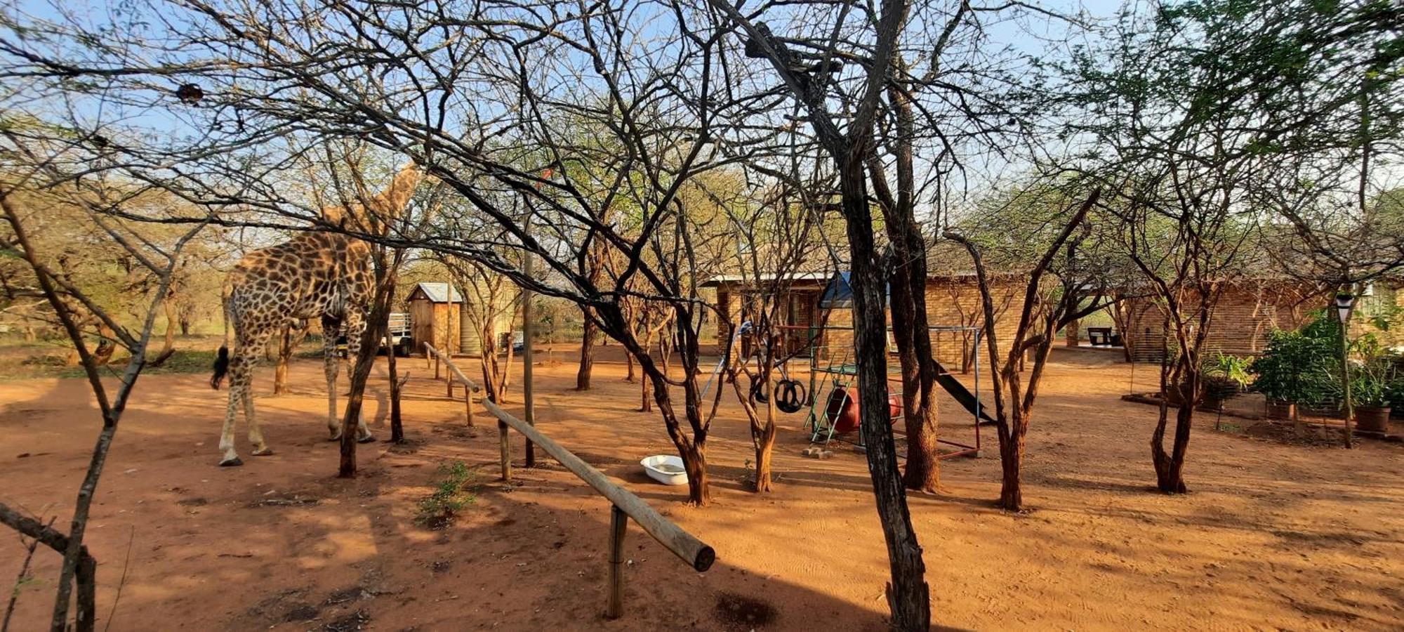 462 Bosbok Chalets Marloth Park Εξωτερικό φωτογραφία