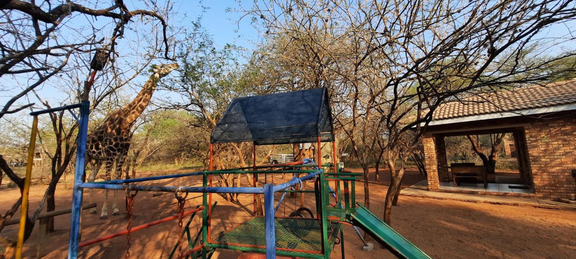 462 Bosbok Chalets Marloth Park Δωμάτιο φωτογραφία