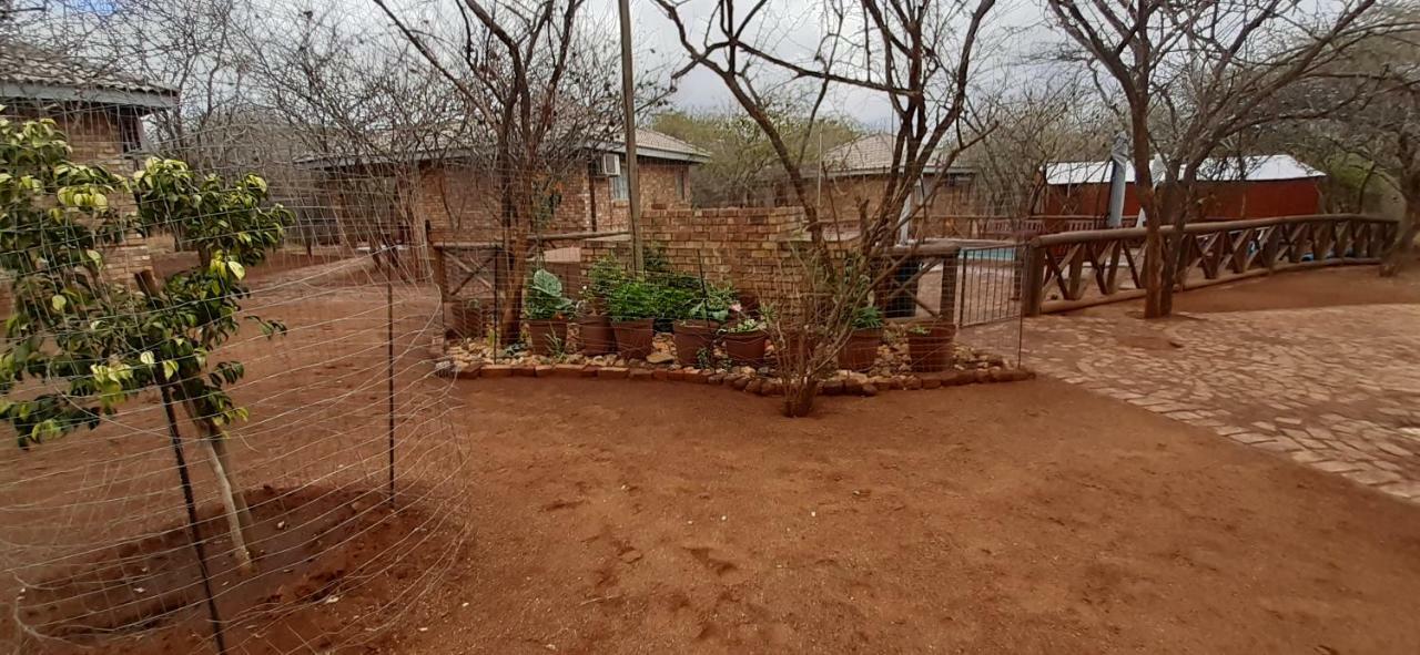 462 Bosbok Chalets Marloth Park Εξωτερικό φωτογραφία